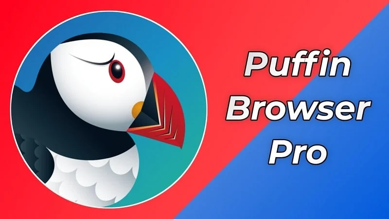 puffin-browser-pro-1